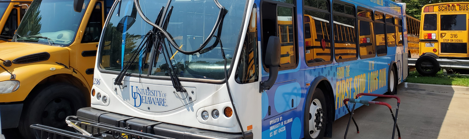 About Auto Glass Maxx